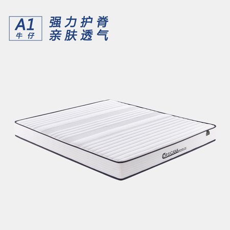A1