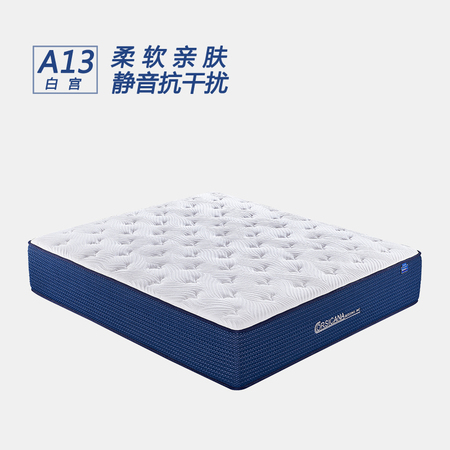 A13