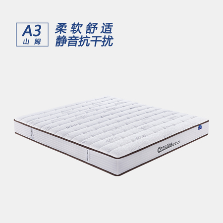 A3